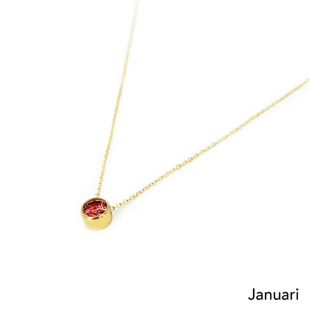 Geboortesteen ketting met geboortebloem en naam RVS